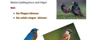 ClipArt-Bild mit Vögeln