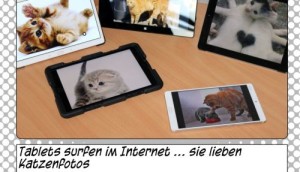 Auszug aus dem Comic: Tablets mit Katzenfotos