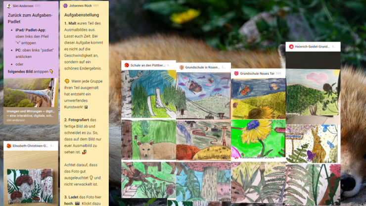 Kollaboratives Ausmalbild mit Padlet