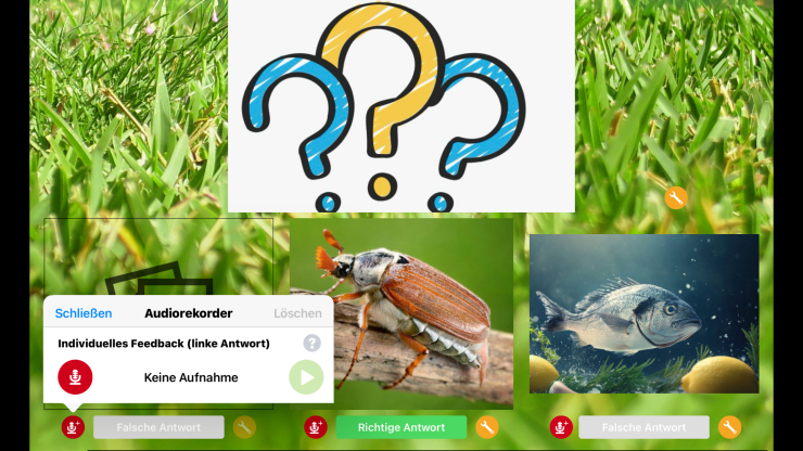 Quiz-Tools für inklusive Medienprojekte: Quizmaker